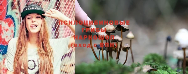 стаф Дмитровск