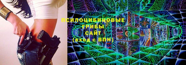 стаф Дмитровск
