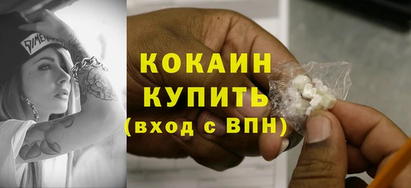стаф Дмитровск