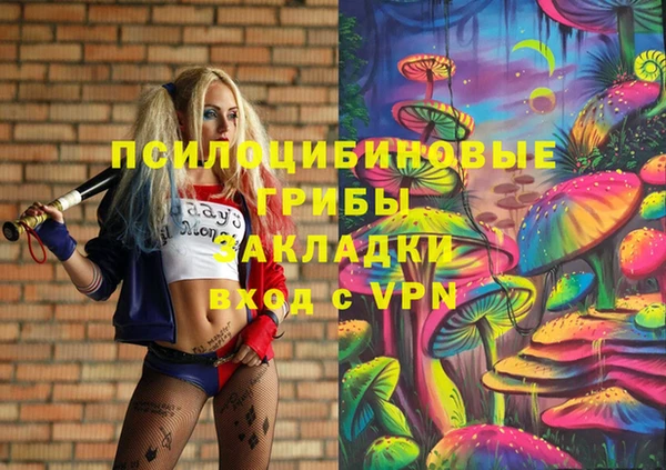стаф Дмитровск
