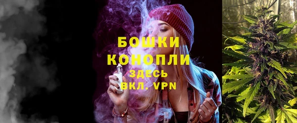 стаф Дмитровск